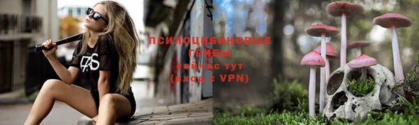бошки Дмитриев