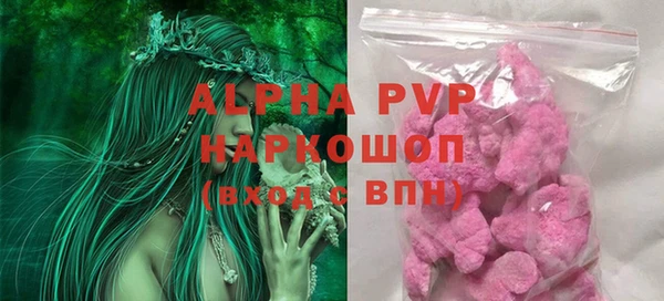 стаф Елизово
