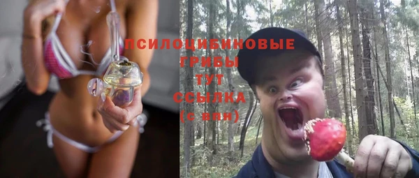 стафф Дмитров