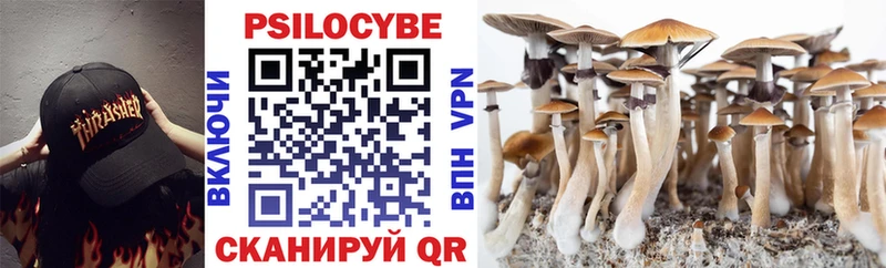 Псилоцибиновые грибы MAGIC MUSHROOMS  купить наркотики цена  Ирбит 